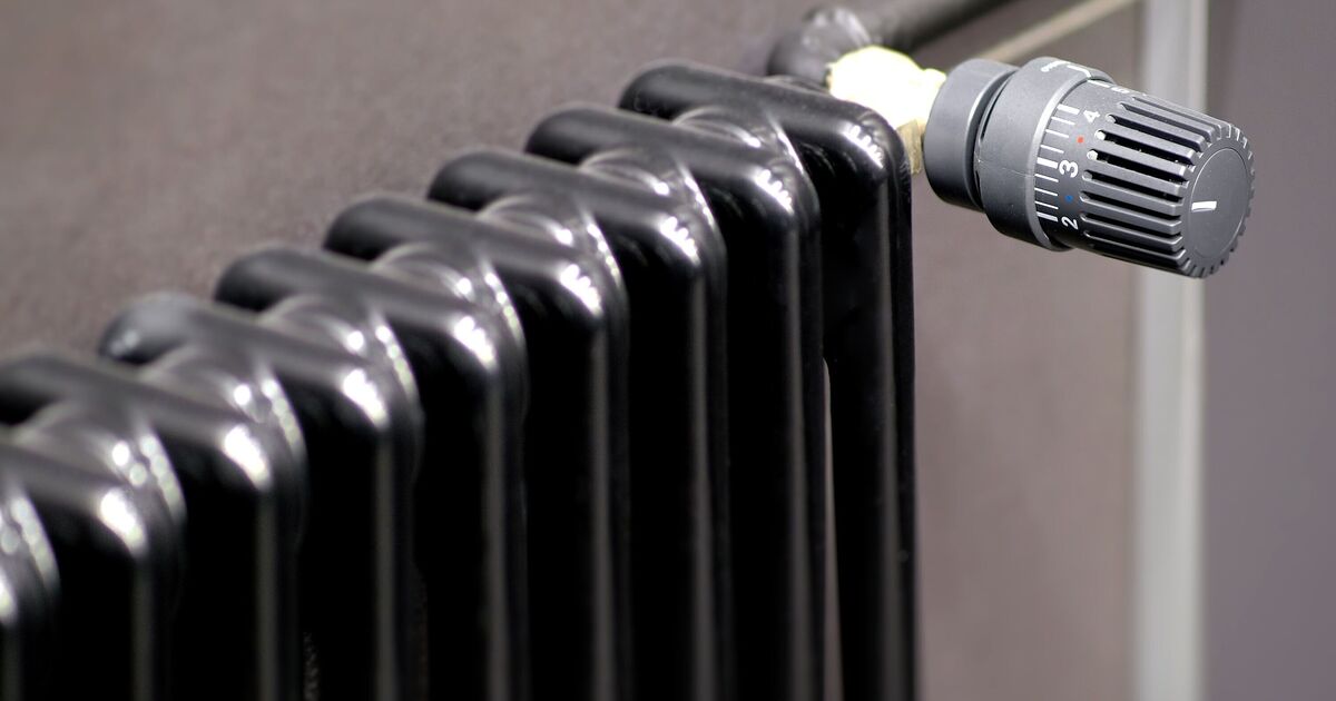 Expert reveals if painting radiators black reduces your energy bills
